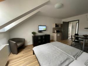a bedroom with a bed and a tv and a table at Benevia Apartments in Pécs