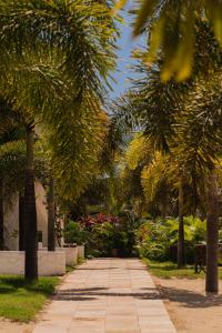 a sidewalk with palm trees in a park at Moriá Eco Lodge in Icaraí