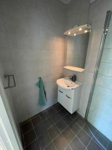 ein Bad mit einem Waschbecken, einem Spiegel und einer Dusche in der Unterkunft Lovely 2 bedroom apartmen with free parking in Bergen