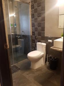 ein Bad mit einem WC, einer Dusche und einem Waschbecken in der Unterkunft The Arbour Inn in Shillong