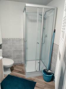 La salle de bains est pourvue d'une douche avec une porte en verre. dans l'établissement Studio privée de 24m2 à 20 min de Puy du fou, à Vendrennes