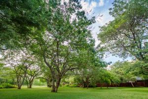 a group of trees in a field of grass at Beautiful home overlooking a park - 2097 in Victoria Falls