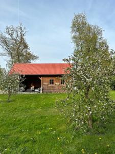 dom z czerwonym dachem na polu w obiekcie Blokhut w mieście Ruinerwold