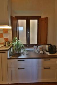 una cocina con encimera con una planta en CASTELLO - Home Sweet Home Tuscany, en Colle Val D'Elsa