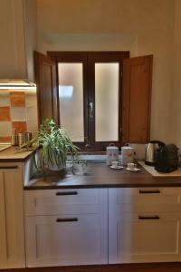 a kitchen with a counter top with a plant on it at CASTELLO - Home Sweet Home Tuscany in Colle Val D'Elsa +15 photos