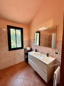 a bathroom with a sink and a mirror at Agriturismo Azzurra Biricchina in Riva Ligure