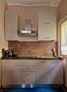 A kitchen or kitchenette at Mister Barolo Apartments Langhe