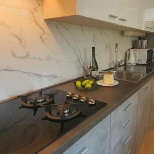 a kitchen with a counter top with a sink and a counter top at AURELIO in Rijeka +11 photos