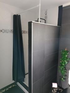 een spiegel in een badkamer met een groen douchegordijn bij L'Eden in Tonneins