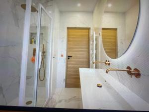 een badkamer met een douche, een wastafel en een spiegel bij Appartement Avec Terrasse Centre-ville Croisette in Cannes