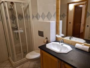 uma casa de banho com um chuveiro, um lavatório e um WC. em Appartement Le D12 Samoëns em Samoëns