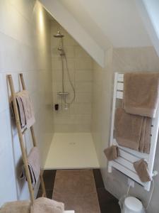 a bathroom with a shower and a toilet at Le temps d'un séjour en Bretagne Chambres d'hôtes in Nivillac