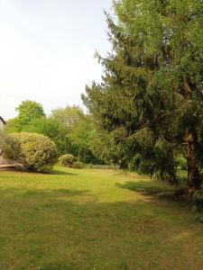 een groen veld met een boom in een park bij Le temps d'un séjour en Bretagne Chambres d'hôtes in Nivillac