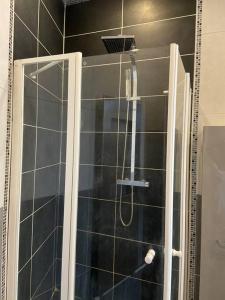 una doccia con porta in vetro in bagno di Appartement Belfort proche gare a Belfort