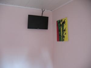 een flatscreen-tv aan een muur met een schilderij bij Chata Mazurska Marek Pyśk in Mrągowo