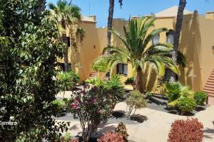 a courtyard with palm trees and flowers in front of a building at Apartment Cumbre Vieja Fuerteventura in Corralejo