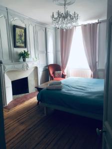 1 dormitorio con cama y lámpara de araña en les chambres fleuries, en Saint-Benoît-du-Sault