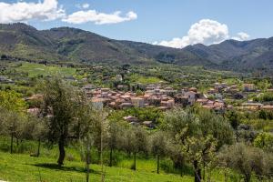 eine Stadt in einem Tal mit Bäumen und Bergen in der Unterkunft L'Aurora in Ceraso + 12 Fotos