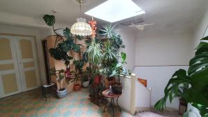 Fotografie z fotogalerie ubytování Hôtel du Roc v destinaci Castellane