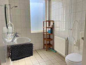 bagno con lavandino e servizi igienici di Vakantieoord "de Peppelhoeve" a Koudekerke