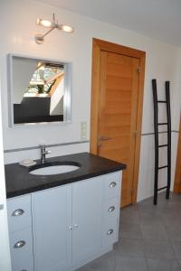 a bathroom with a sink and a mirror at Bidi's Lodge in Stavelot