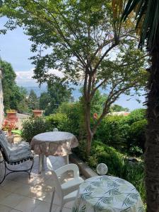 Vườn quanh Apartments Diana