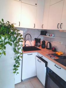 Kuchyň nebo kuchyňský kout v ubytování Apartman Nane