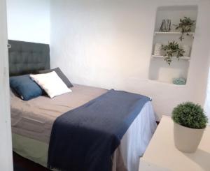 sypialnia z łóżkiem i doniczką w obiekcie T1 Elvas w mieście Elvas