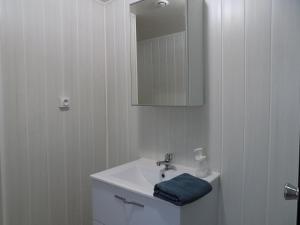 ein weißes Badezimmer mit einem Waschbecken und einem Spiegel in der Unterkunft La maisonnette in Les Adjots