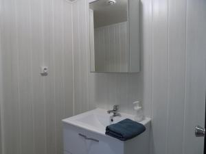un bagno bianco con lavandino e specchio di La maisonnette a Les Adjots Altre 6 foto