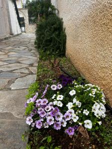 a flower bed with purple and white flowers next to a wall at Dionysus Apartments & Studios in Syvota