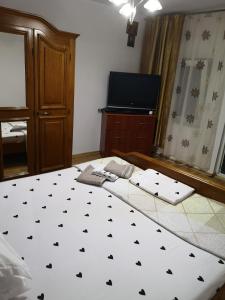 Billede fra billedgalleriet på Casa Delia i Sulina