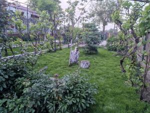 Billede fra billedgalleriet på Casa Delia i Sulina