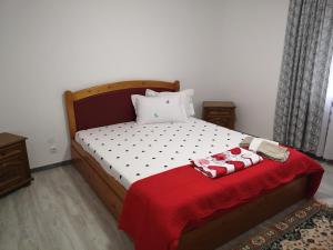 Un dormitorio con una cama con una manta roja. en Casa Delia, en Sulina