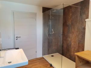 La salle de bains est pourvue d'une douche et d'un lavabo. dans l'établissement Ferienwohnung im Obstgarten, à Achberg