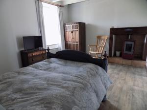 Schlafzimmer mit einem Bett, einem TV und einem Stuhl in der Unterkunft La maisonnette in Les Adjots