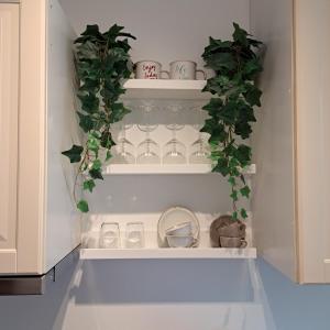 a walk in pantry with green plants and white shelves at La casa di Camilla in Perledo +13 photos