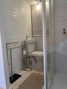 a small bathroom with a toilet and a shower at Neptuna- 52B- Appart spacieux- 7 pers in Cap d'Agde