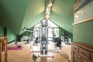 a gym with exercise equipment in a green room at Snö Villa de Sallent 3 in Formigal