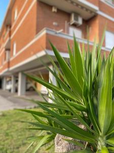 a green plant in front of a building at Simply House Civitavecchia in Civitavecchia
