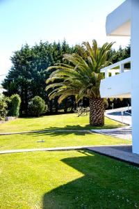un palmier assis dans l'herbe à côté d'un bâtiment dans l'établissement Impresionante villa sobre el mar en el mismo Comillas, à Comillas