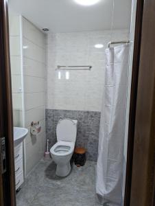 a small bathroom with a toilet and a sink at Gari's apartment next to Borjomi Central Park in Borjomi