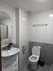 a bathroom with a toilet and a sink at Gari's apartment next to Borjomi Central Park in Borjomi