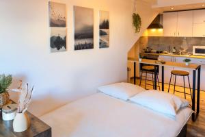 a small room with a bed and a kitchen at Le Nordik proche aéroport CDG I Paris I Astérix in Dammartin-en-Goële +14 photos