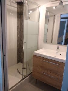 a bathroom with a sink and a shower at gîte des Caves in Civray-de-Touraine