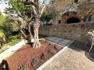 Zahrada ubytování Lajatico Rentals - Casa di Alice nel Borgo