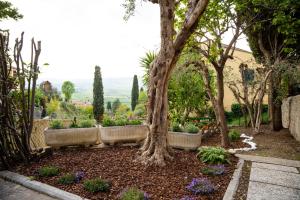 Zahrada ubytování Lajatico Rentals - Casa di Alice nel Borgo