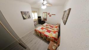 a bedroom with a bed and a ceiling fan at Pensión Pamplonabeds in Pamplona