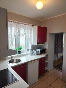 Cuina o zona de cuina de Guesthouse Kiljan