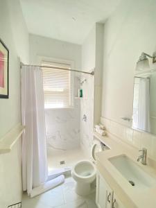 a bathroom with a shower and a toilet and a sink at Large DUPLEX Apt 2Bdrm 1Den-Metro in Washington, D.C.